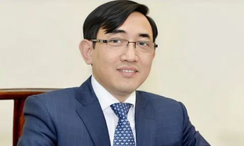 Giáo sư giàu nhất Việt Nam: Top 5 trên sàn chứng khoán, sắp là tỷ phú USD