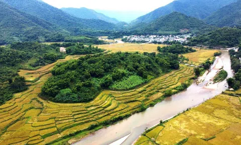 Thanh Hóa: Xã vùng biên thu tiền tỷ, nhờ giống nếp thơm, dẻo, chịu hạn tốt