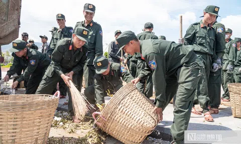 Gia Lai: Dốc toàn lực khắc phục hậu quả bão 13 với tinh thần quyết liệt nhất