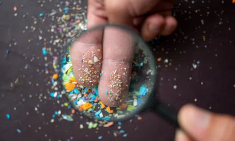 Thực phẩm ‘ngậm’ nhiều vi nhựa có mặt thường xuyên trên mâm cơm người Việt