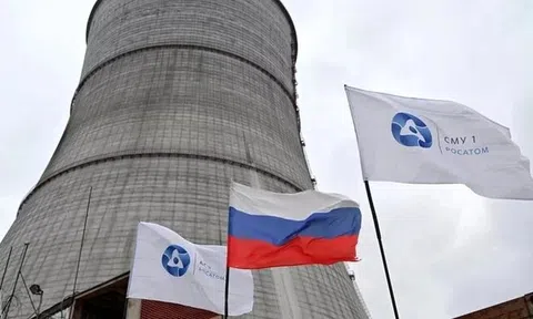 "Việt Nam đang có 2 điều rất tuyệt vời để phát triển năng lượng hạt nhân, xây lò phản ứng hạt nhân mới"