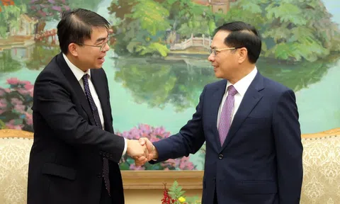 Gặp lãnh đạo DN dẫn đầu phố Wall, Phó Thủ tướng đề nghị sớm xây cao tốc kết nối sân bay 16 tỷ USD của VN