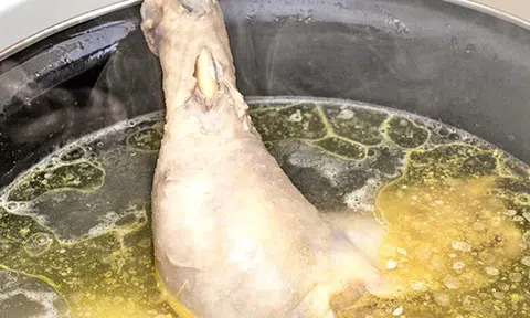 Bạn đã nấu thịt gà SAI CÁCH trong suốt cuộc đời mình?