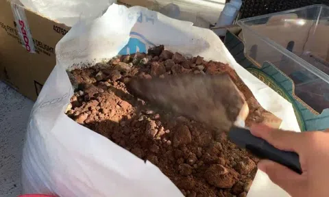 Loại bã đồ uống ai cũng bỏ đi lại là "bảo bối" của chuyên gia: Đặt 1 nắm vào góc nhà sẽ thấy thay đổi ngay