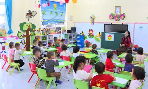 Quảng Ninh sẽ hỗ trợ 100% kinh phí mua sữa cho trẻ mầm non và học sinh tiểu học