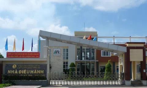 Doanh nghiệp 'ngược đời': Cầm 830 tỷ tiền tươi, vốn hóa chỉ 640 tỷ