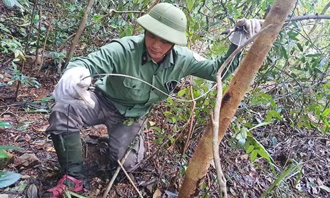 Hành trình vào rừng sâu gỡ "bẫy tử thần" giải cứu động vật hoang dã