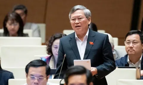 Đề xuất hỗ trợ tài chính cho tất cả phụ nữ sinh đủ 2 con