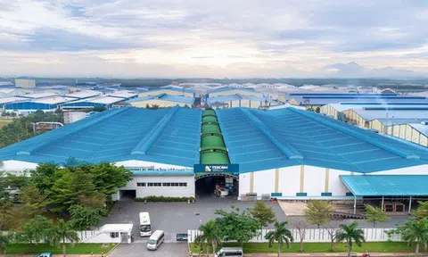 Nhà sản xuất đưa sản phẩm 'Made in Vietnam' tới hơn 50 quốc gia: Từng là doanh nghiệp thương mại chiếm 65% thị phần, nay có 2 nhà máy quy mô 1.500 nhân sự