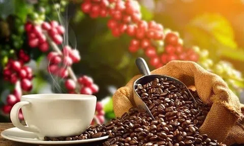 THỊ TRƯỜNG HÀNG HÓA: Khủng hoảng kép trên toàn thị trường cà phê