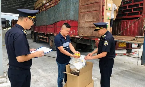 Chống buôn lậu vàng, hàng giả và ma túy trên các tuyến trọng điểm