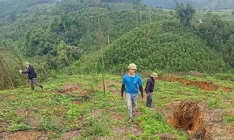 Hà Tĩnh: Sơ tán khẩn cấp các hộ dân khi xuất hiện vết nứt kéo dài trên núi