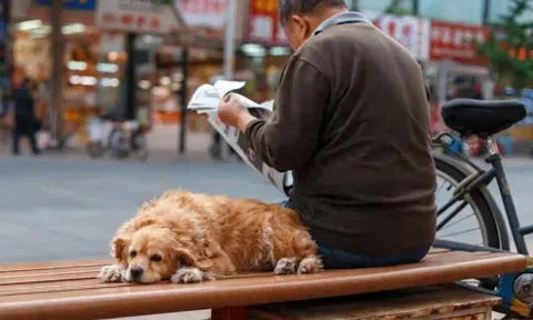 63 tuổi, nghỉ hưu, tôi làm 4 việc "tuyệt tình" rồi mới thấy đúng đắn: sống hạnh phúc mỗi ngày
