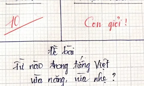 Từ nào trong Tiếng Việt vừa nặng, vừa nhẹ? - Trả lời đúng, bạn lọt top 1% người thông minh nhất!
