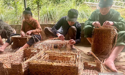Bèo tây "lên đời" thành hàng xuất khẩu nhờ bàn tay khéo léo của người dân Nghệ An