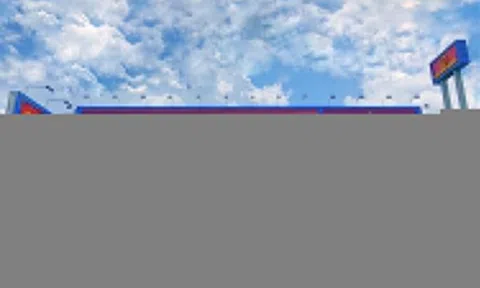 Hoa Sen lập công ty nghìn tỷ nắm vốn chuỗi cửa hàng vật liệu xây dựng