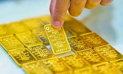 Giá vàng hôm nay 14/11: Vàng SJC tăng giá, vàng thế giới điều chỉnh nhẹ