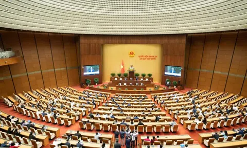 Ngày 17/11, trình Quốc hội dự thảo Nghị quyết về cơ chế, chính sách thực hiện Nghị quyết 71 và 72