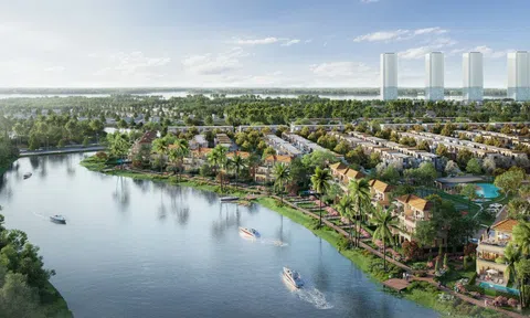 Izumi Canaria và góc nhìn ngũ hành về sinh khí đô thị