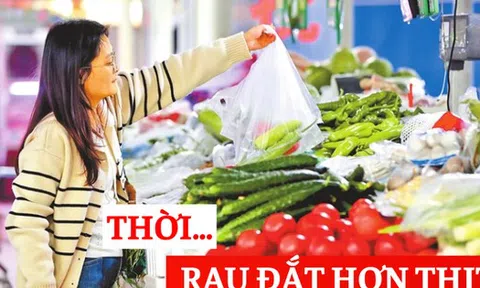 Đi chợ mà choáng: “Tiền rau giờ còn đắt hơn thịt” – cú sốc khiến tôi phải xem lại cả bảng chi tiêu