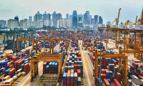 Kim ngạch xuất nhập khẩu Việt Nam-Singapore tăng kỷ lục