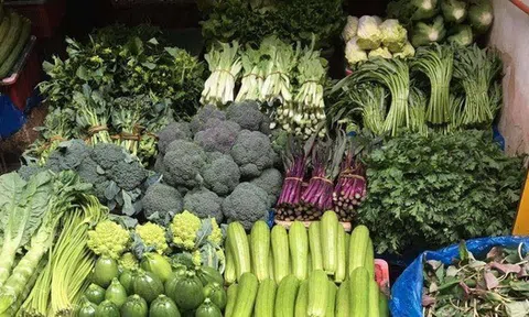 Ra chợ thấy 4 loại rau này, mạnh dạn nhắm mắt MUA LUÔN