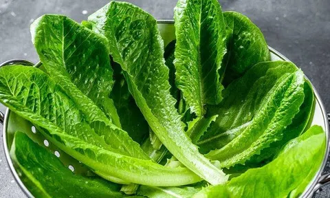 Vì rau đắt hơn thịt nên càng cần chọn đúng: Ăn 3 loại rau cực giàu collagen này vừa đẹp da, lại bảo vệ tim mạch, thần kinh