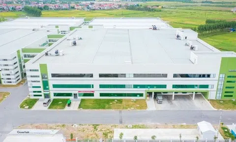 Đại bàng Trung Quốc tạo 65.000 việc làm tại Việt Nam, sắp làm dự án mới tác động tới 5.000 người