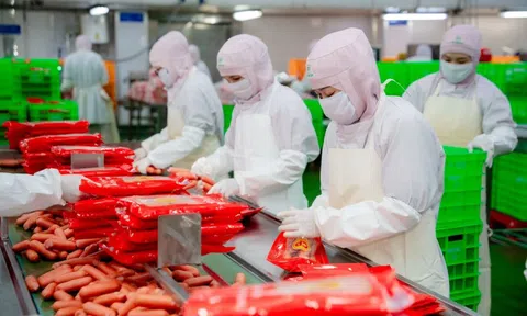 C.P. hụt thu ở Việt Nam