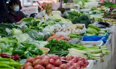 5 loại rau dễ “ôm ổ ký sinh trùng”, dân buôn cũng ngại ăn