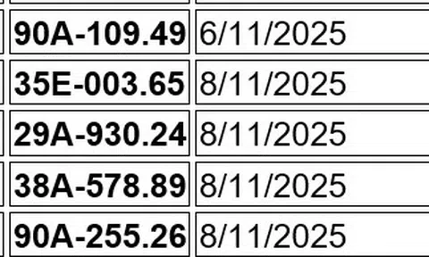 44 chủ xe vượt đèn đỏ có biển số sau nhanh chóng nộp phạt nguội theo Nghị định 168