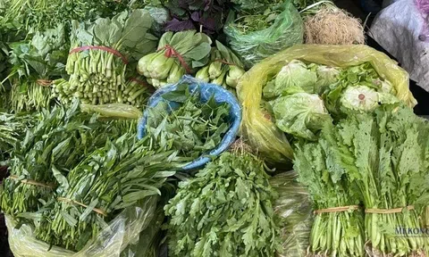 7 loại rau tươi ngon, dễ mua với giá rẻ quanh năm