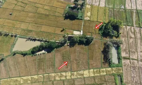 Cánh đồng gần chùa bỗng đổi dạng trong một đêm, dân làng xôn xao "chưa từng thấy bao giờ"