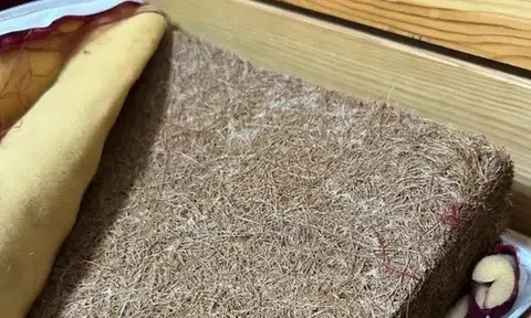 7 thứ trong nhà dễ là ổ phát tán Formaldehyde, càng dùng lâu càng dễ ung thư