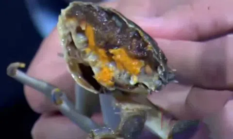 4 loại thịt dễ “ôm ổ ký sinh trùng”, dân buôn cũng ngại ăn