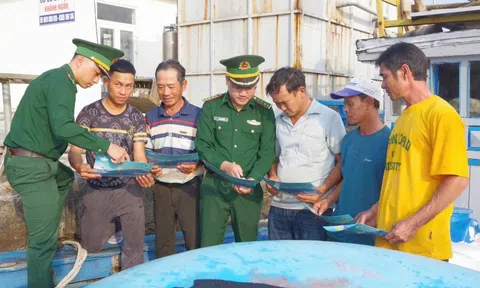 Quảng Ngãi phát động cao điểm xử lý vi phạm khai thác IUU