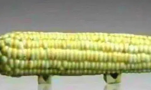 Mang "quả ngô" đi thẩm định cổ vật bị chuyên gia phán là đồ giả, cụ ông cười khẩy nói: "Có biết tôi là ai không?"