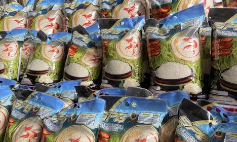 Đột kích xưởng sản xuất 14 tấn gạo giả mỗi ngày suốt 2 năm: Hãi hùng chiêu 1kg gạo tốt pha 10kg gạo nhái, tổng thiệt hại tới 155.000 tỷ