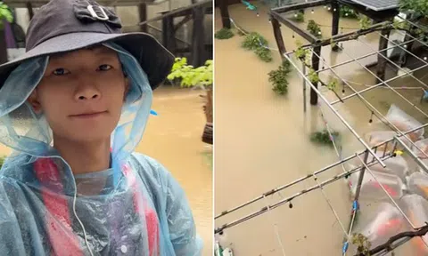 Tin tức mới nhất về đàn cá Koi vài trăm triệu bị nước lũ cuốn trôi ở Đắk Lắk