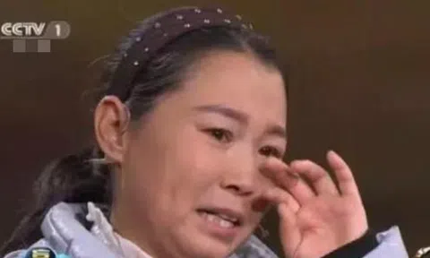 Mang "cành cây" đi thẩm định, nông phụ khẳng định do người ăn xin tặng: Chuyên gia quát lớn 'Cô nói dối!'