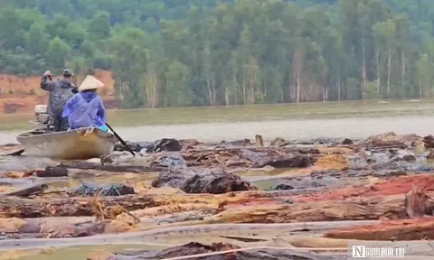 VIDEO: “Mót” củi giữa lòng hồ thủy điện sau lũ