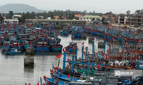 Sóng lớn suốt tháng, ngư dân Quảng Ngãi lao đao vì tàu phải nằm bờ