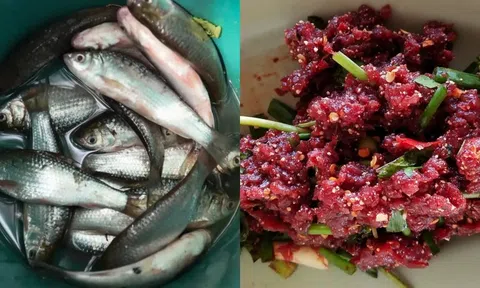 2 loại cá làm tăng nguy cơ mắc ung thư: Là món ‘khoái khẩu’ của nhiều người