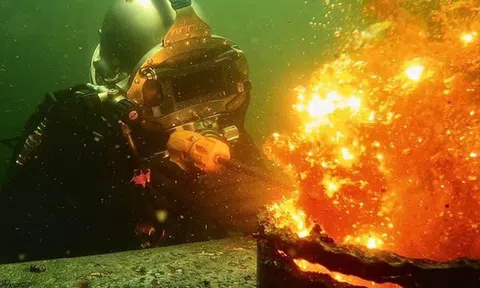 Nghề "hái ra tiền" ở dưới nước, 1 năm có thể kiếm hơn 5 tỷ