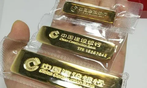 Chủ tiệm vàng vứt nhầm túi nilon chứa hơn 13 lượng vàng, 20 cảnh sát lục tung 5 tấn rác để tìm lại