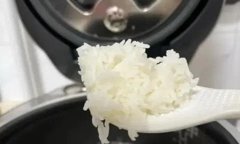 Có nên để nồi cơm điện luôn cắm điện ở chế độ giữ ấm?