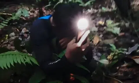 Phát hiện loài "hôi thối" nhưng quý hiếm nhất hành tinh, tưởng như sắp tuyệt chủng: Nhiều người bật khóc tại chỗ