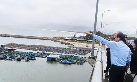 Gia Lai mời gọi đầu tư siêu dự án nhà máy điện gió hơn 48.000 tỉ đồng