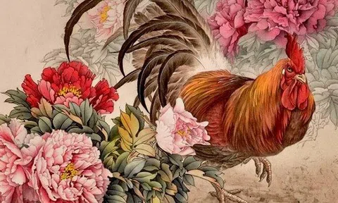 Tin vui: 4 con giáp này sắp bước vào giai đoạn số đỏ nhất năm, được Thần Tài ưu ái, tiền chảy đầy túi