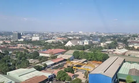 Đồng Nai tính thu chục nghìn tỷ từ đấu giá 6 khu đất